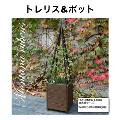 クレマチス・トレリス付き植木鉢 | SITEC GARDEN